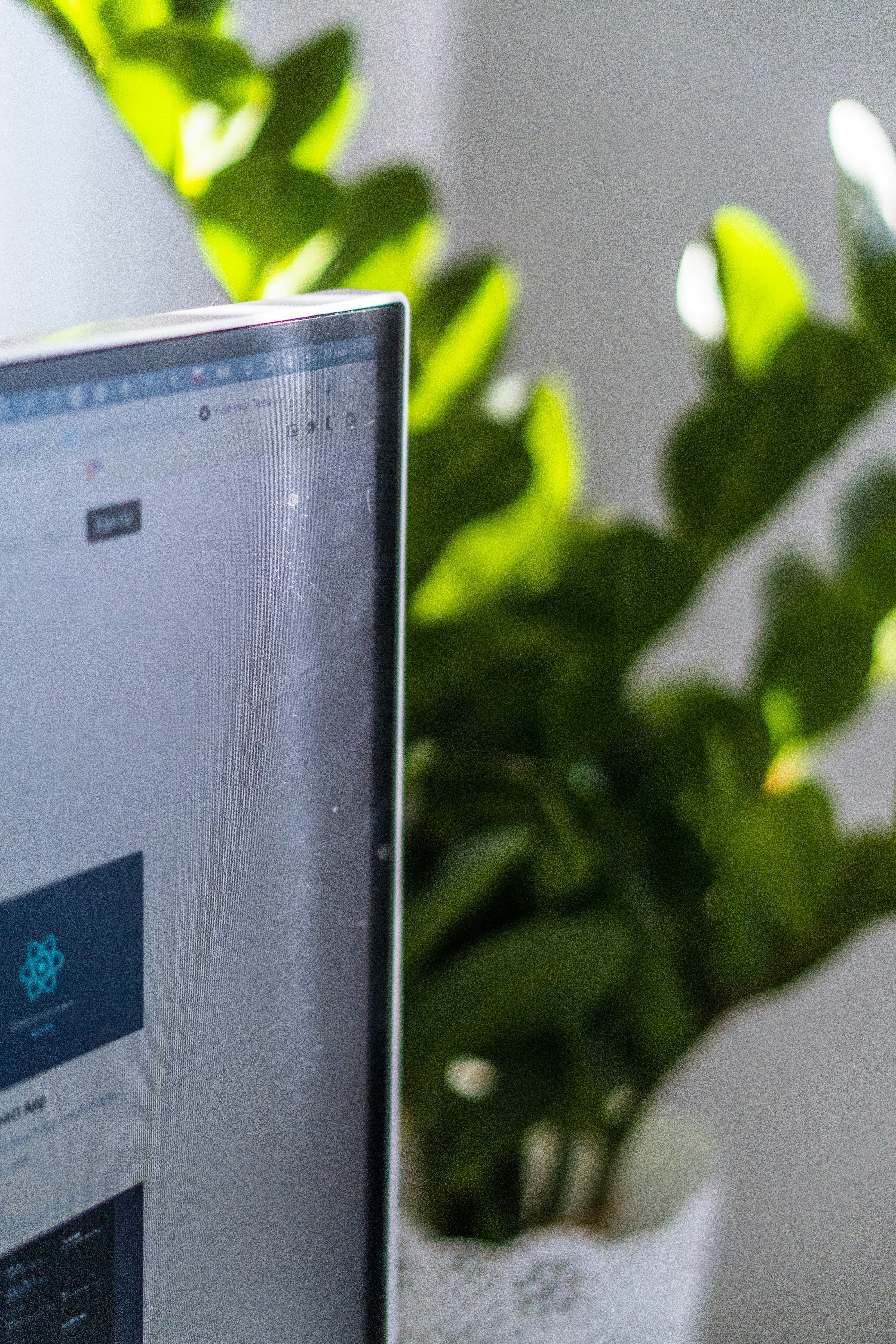 Powering Modern Websites: WordPress and Next.js