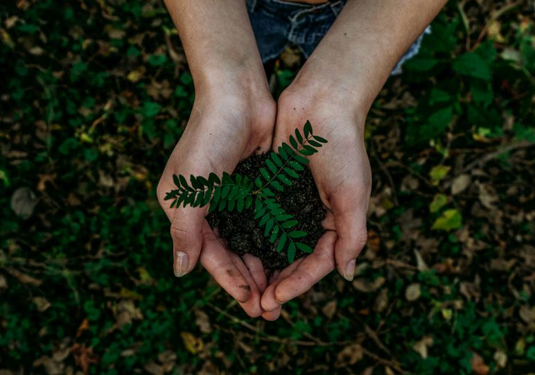 5 Steps to a Sustainable Content Strategy