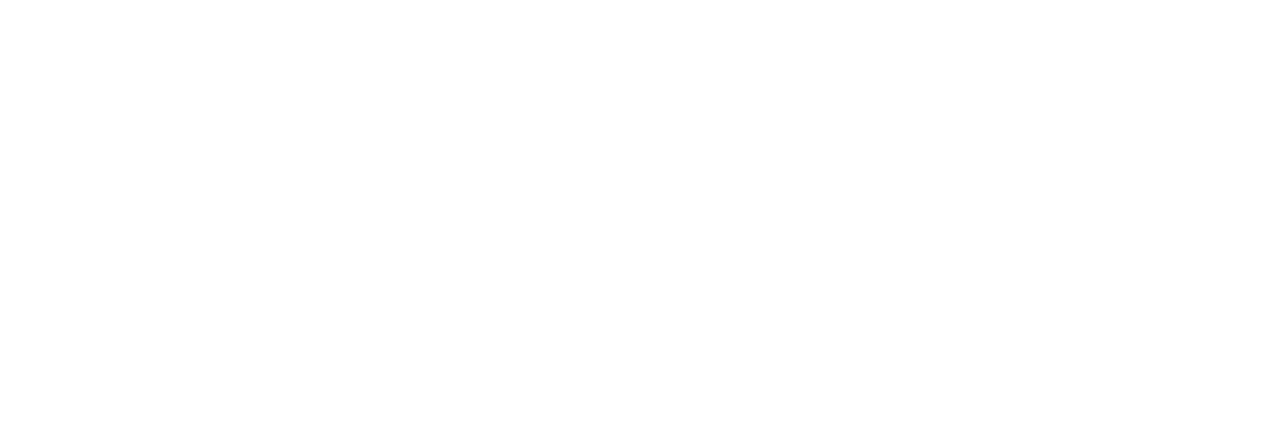 Our Technology Partners 